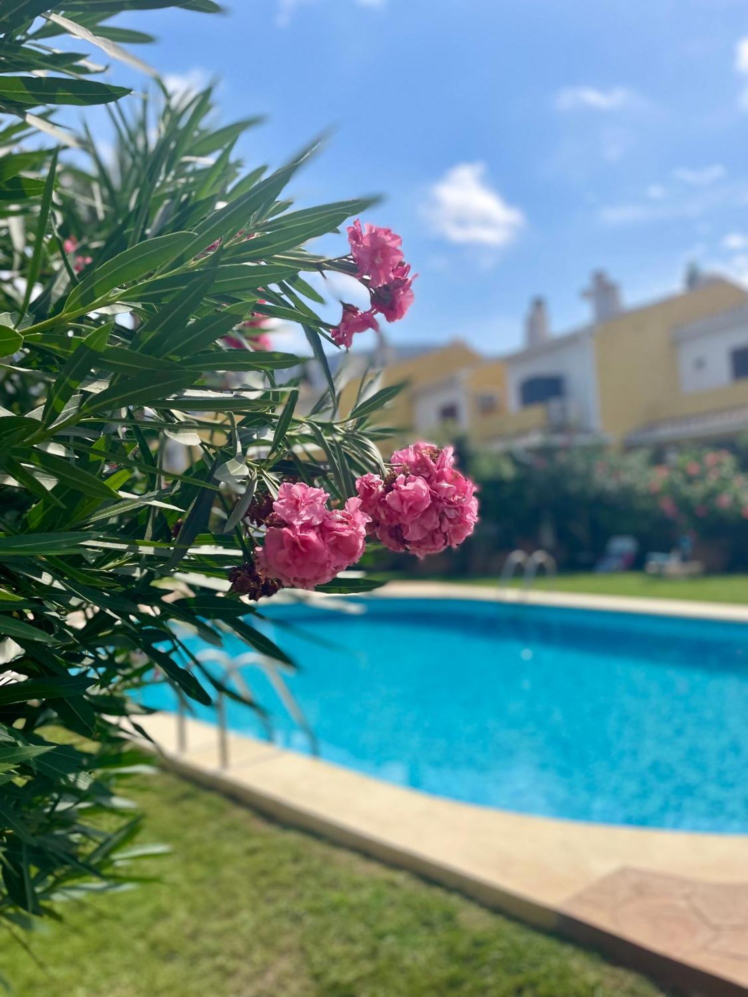 El Casa Kama Apartment เดเนีย ภายนอก รูปภาพ